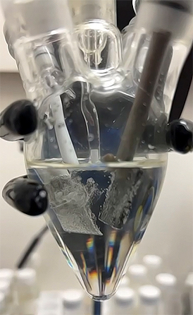 Electrolyzed Ammonia 
